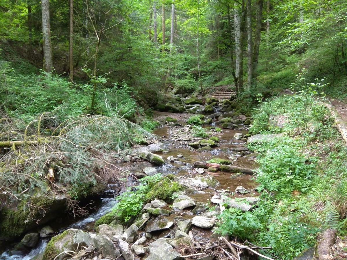 Amy'S Apartment, Relax And Enjoy Bonndorf im Schwarzwald Luaran gambar