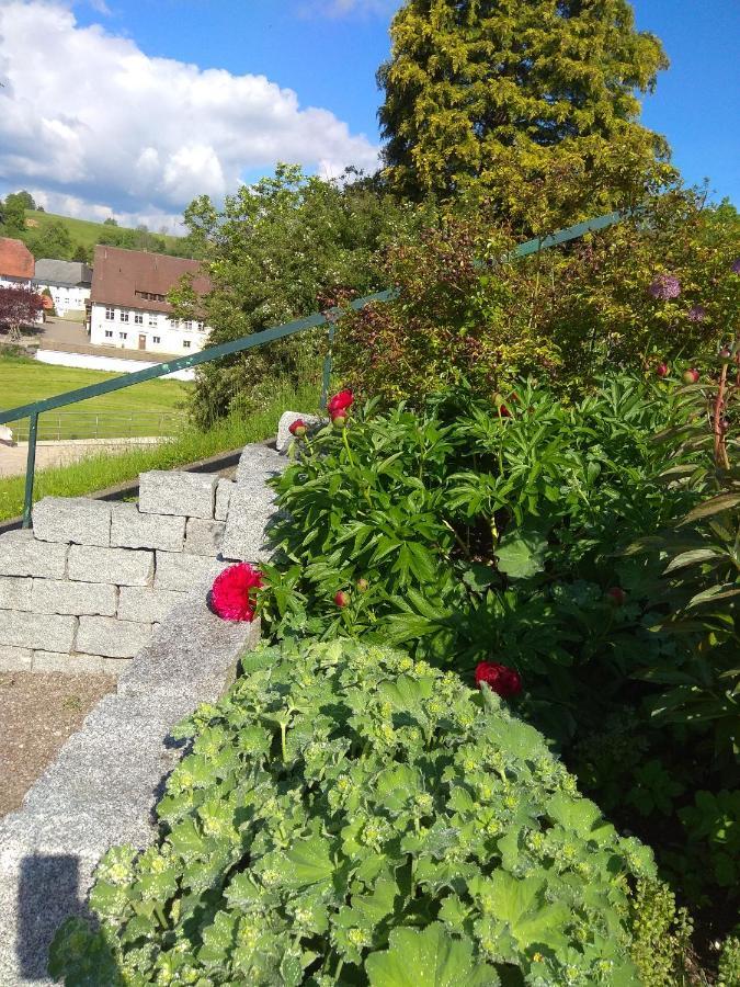 Amy'S Apartment, Relax And Enjoy Bonndorf im Schwarzwald Luaran gambar
